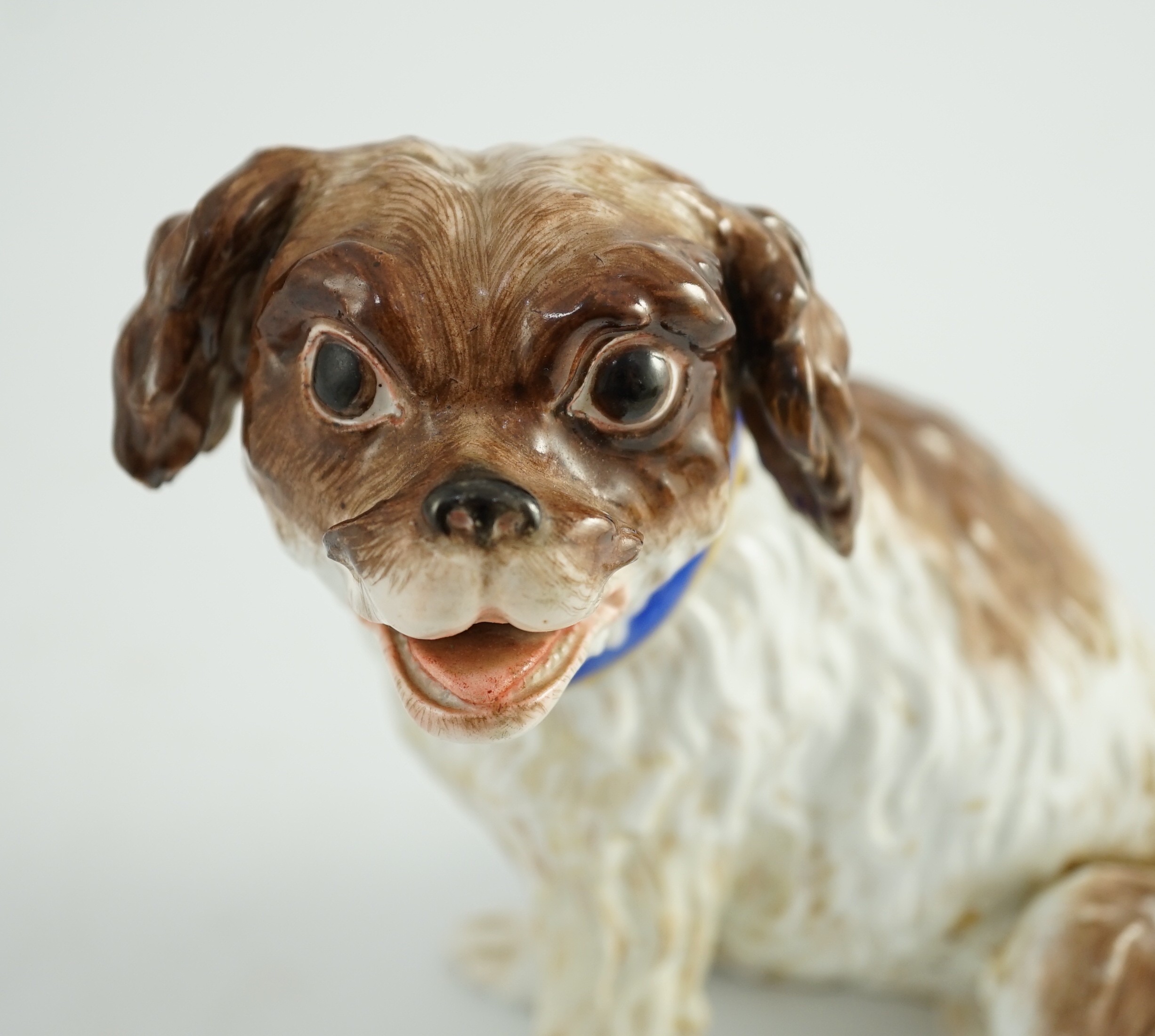 A Meissen seated figure of a German Wachtelhund (spaniel), 19th century, 19cm high, restoration and damage